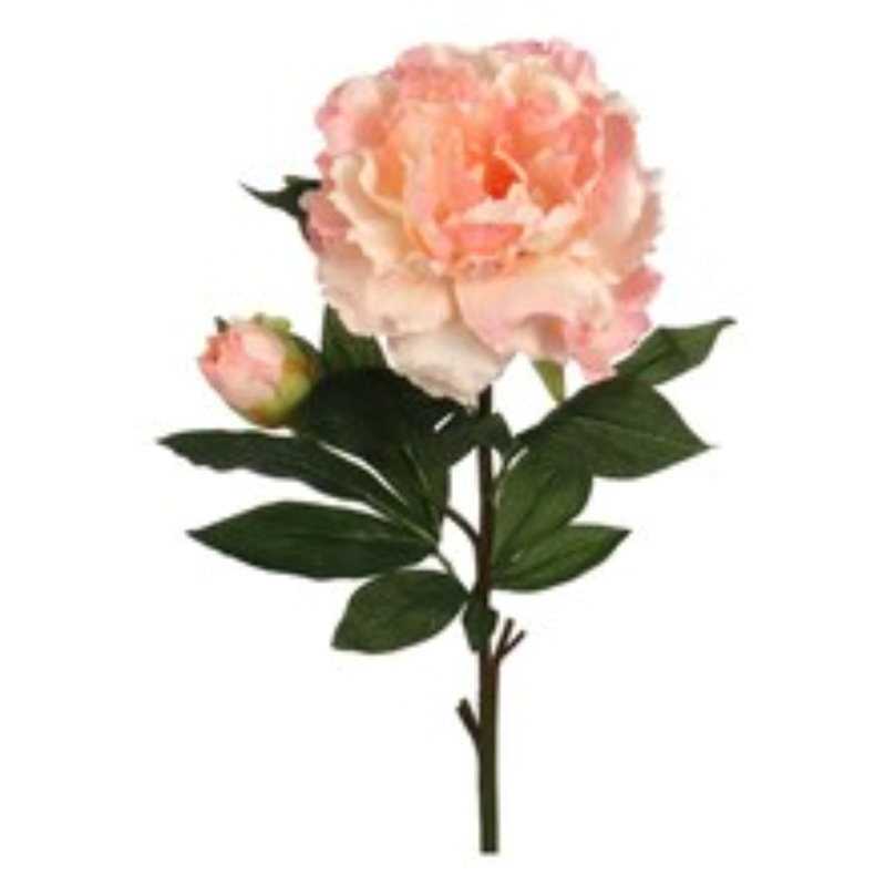 4pcs 30" Peony Stem
