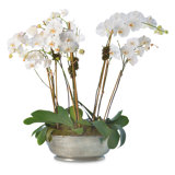 Beaded Footed Beverage Tub