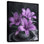 Reproduction d'art moderne lys mauves et noirs modernes