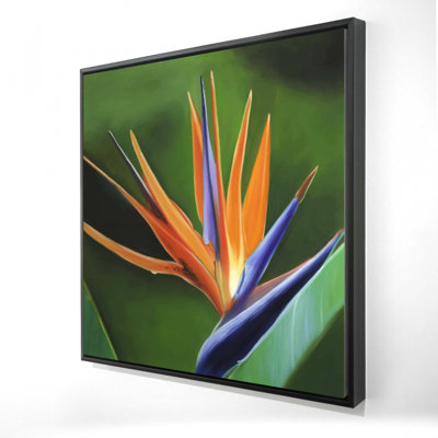 «Bird Of Paradise Flower»