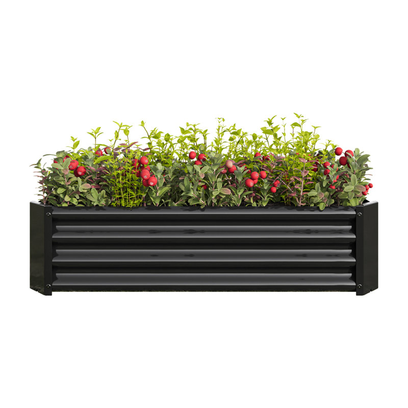 Rectangle Raised Garden Bed for Flowers Plants, Vegetables Herb