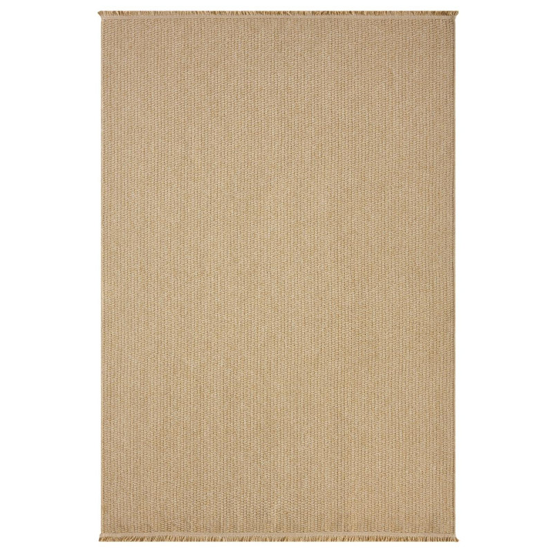 Modern Farmhouse Fringed Area Rug, Rectangle 5' x 7'