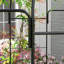 Tonnelle en acier noire l 86,2 po x P 86,2 po