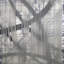 Abstract Print by Studio L57 Schemata-1606726377