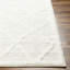 Coito Oriental Area Rug-1739308529