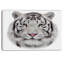 « white bengal tiger », peinture à l’animal-35120446-35120452