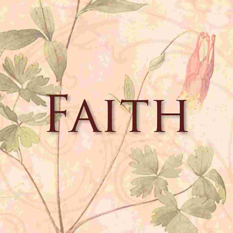 Faith Botanical - art textuel sur toile tendue, H 36 po x l 36 po