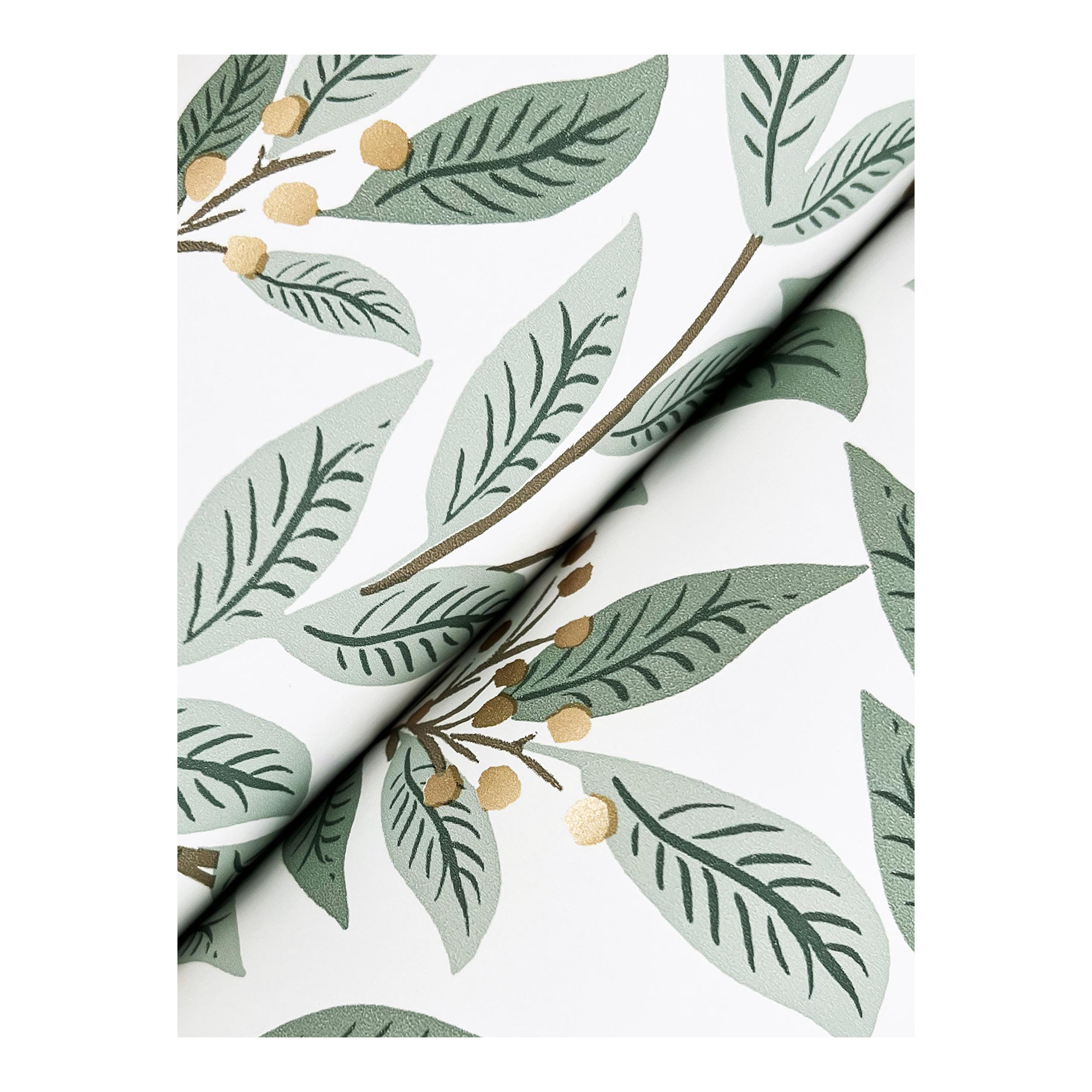 Willowberry Wallpaper, Sage