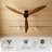 65" 3 Blade Standard Ceiling Fan