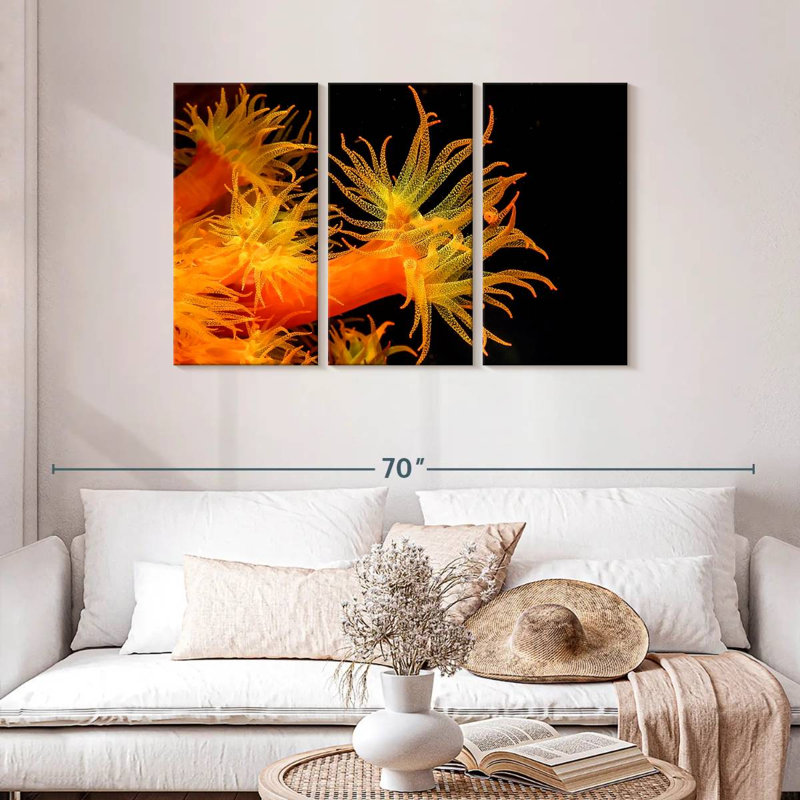 Brampt Sun Polyps, 28" H x 45" W
