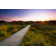 Wooden Path Through The Dunes by Mh-fotos - Wrapped Canvas Print