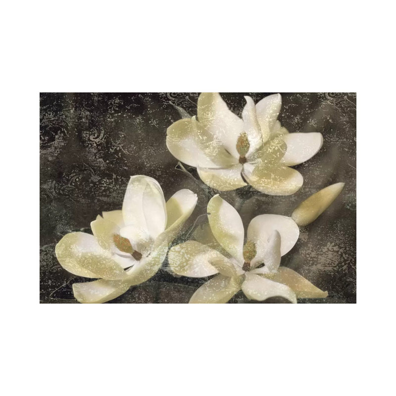 The Magnolia Tree by John Seba - Wrapped Canvas Print, Wrapped Canvas, 20.32 cm H x 30.48 cm W