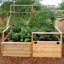 6 ft. W x 3 ft. D Cedar Garden in a Box with Trellis/Lid