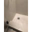 SeaTile 24" x 24" Seashell Wall & Floor Tile