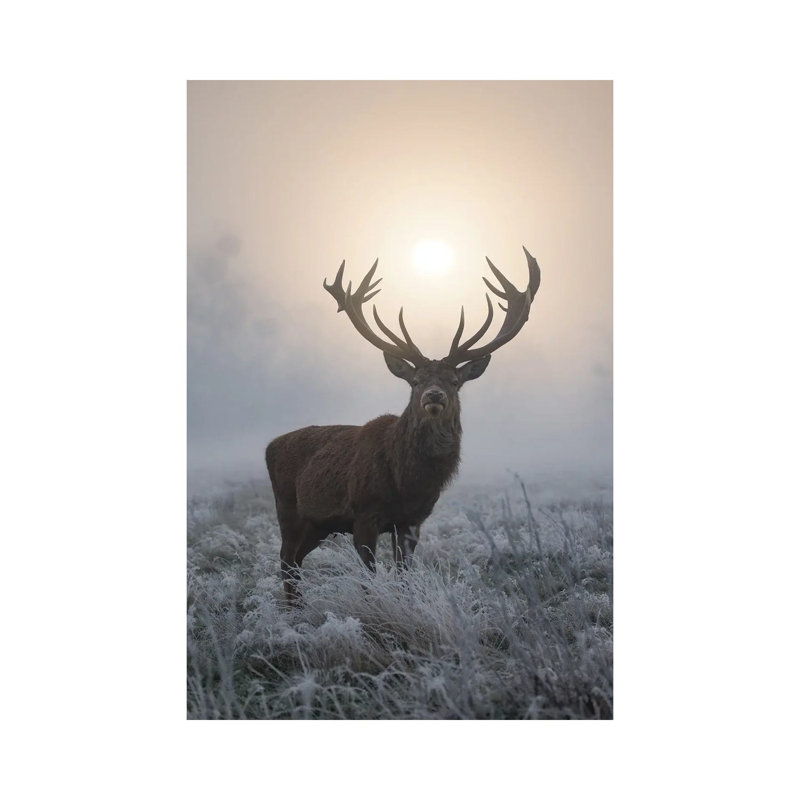 Frosty Glow by Max Ellis - Wrapped Canvas Print, 66.04 cm H x 45.72 cm W