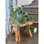 Support pour plante en bois massif Alfarata
