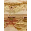 Oriental Area Rug in Beige