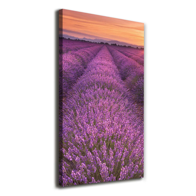 Lavender Field - Wrapped Canvas Print