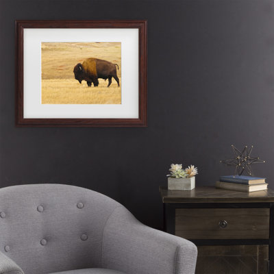 Art mural encadré - Décoration murale «Buffalo» par Mitch Catanzaro - cadre pour salon, cuisine et salle de bain - 16 x 20