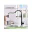 AvaMalis Pull Down Kitchen Faucet-100675619