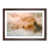 Walnut Framed