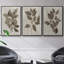 3 pièces Arbor-97758246-97758243