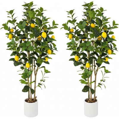 120cm Plant