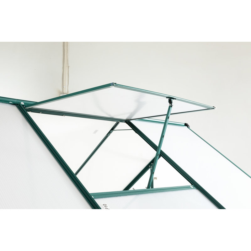 Serre en polycarbonate - pour cour extérieure avec base galvanisée et drainage efficace, H 77,63 po x l 76,95 po x P 96,7 po
