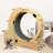 5-in-1 Cat Scratching Post & Activity Centre