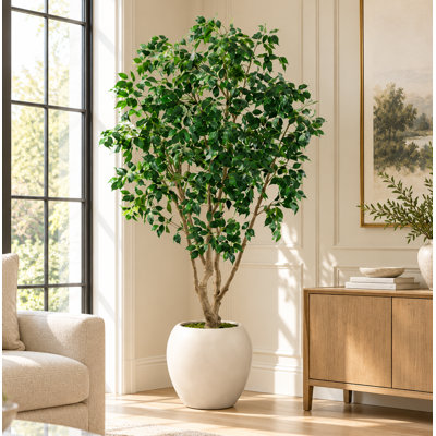 8 FT Artificial Ficus Tree With 18" White Planter