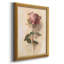 Painterly Rose Study I, toile encadrée de qualité supérieure - prête à être accrochée-2055583246