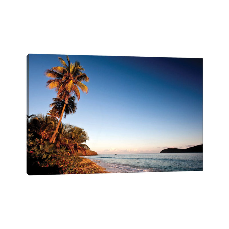 Palm Tree On Beach At Sunset, Culebra Island, Puerto Rico - Wrapped Canvas Print, 20.32 cm H x 30.48 cm W