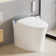 Smart Bidet Toilet ADA Chair Height Design, Auto Open & Close, Auto Flush,1000 Gram MaP Flushing Score, Foot Sensor Operation