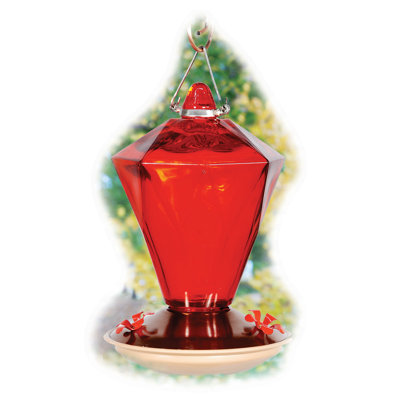 Glass Hanging Hummingbird Feeder