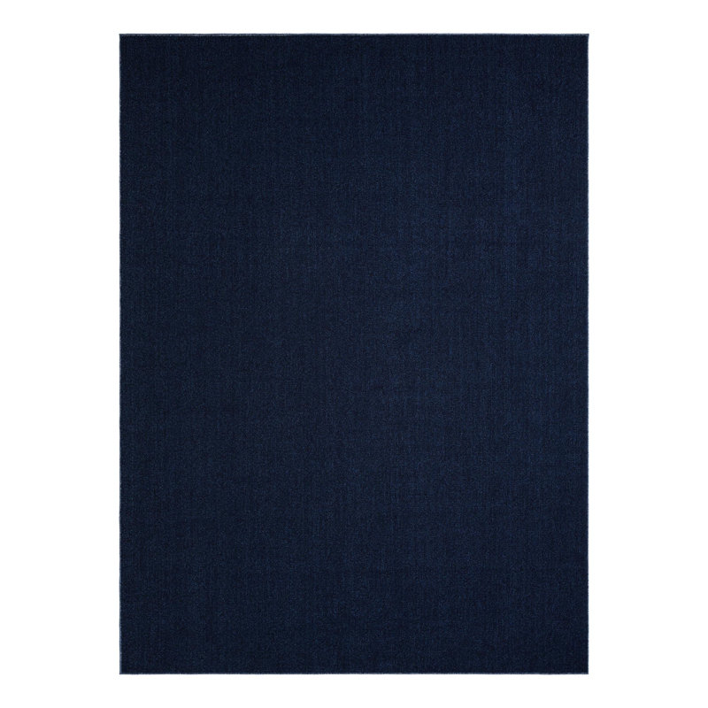 Chesire Indoor/Outdoor Area Rug, Rectangle 9' x 12'