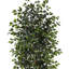 Arbre ficus artificiel en pot-48936682