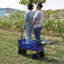 Folding Wagon Garden Shopping Beach Cart (Blue)