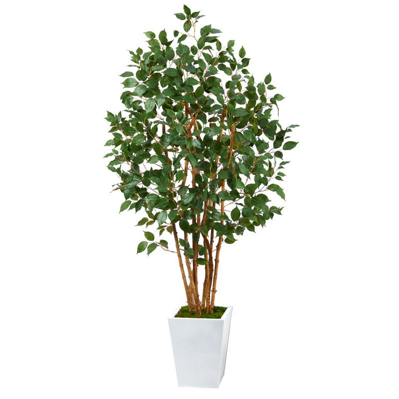 Ficus artificiel 66 po en pot