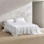 Ensemble de draps en coton Calvin Klein-123293093-99454511