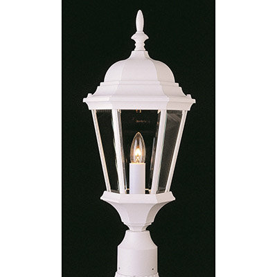 Nelligan Lantern Head
