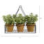 7 po Mini plante de jardin en jade dans une jardinière suspendue