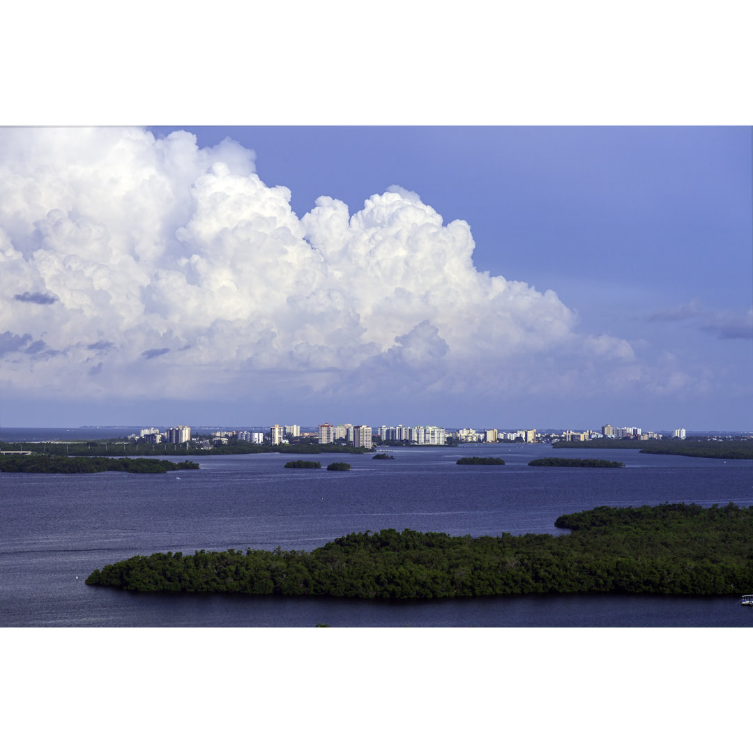 Wasserschutzgebiet Estero Bay - Leinwandbild