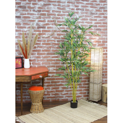 72'' Faux Bamboo Tree in Planter