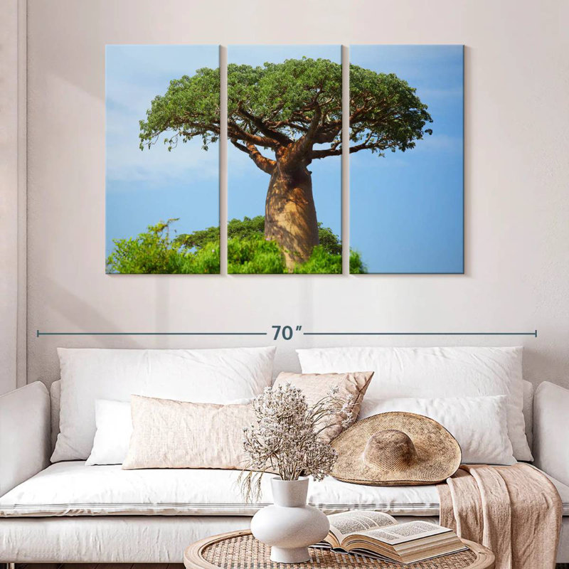Baobab africain, H 32 po x l 50 po