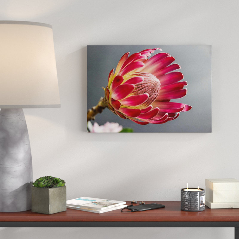 Pink Protea Photographic - Wrapped Canvas, 70cm H x 100cm W