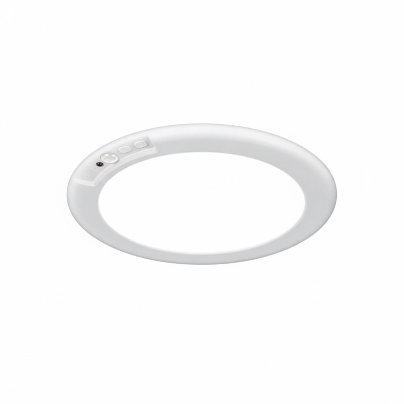 Flush Mount