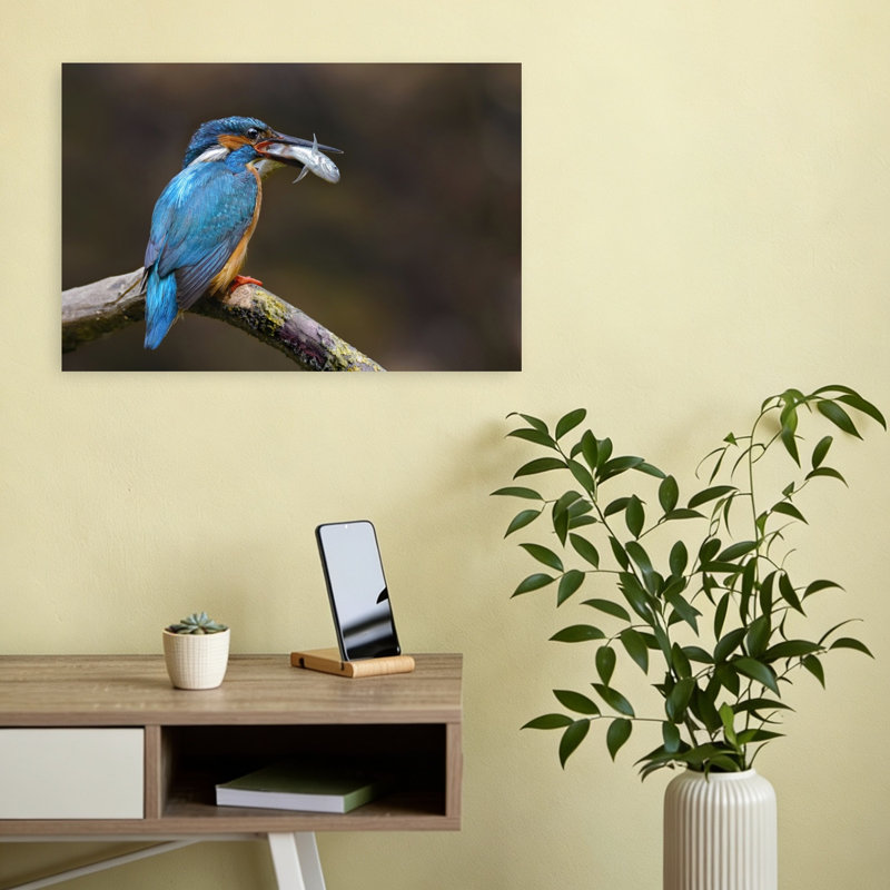 Kingfisher'S Fresh Catch Colorful Contemporary Bird Fish Nature Wildlife Wall Art Print 1 Piece Wrapped Canvas Wall Art