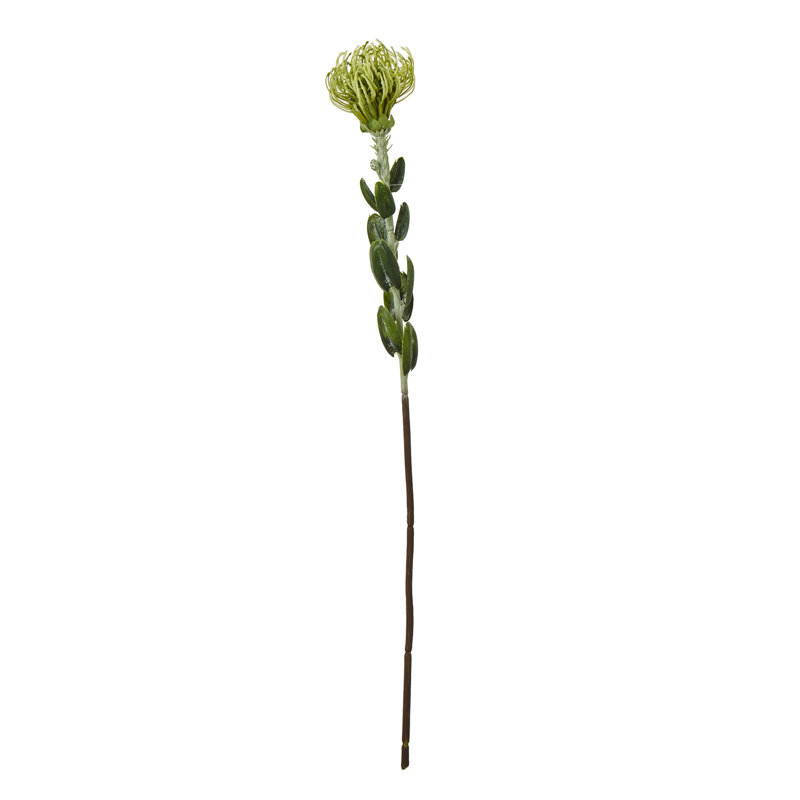 Pincushion Protea Spray, Green