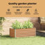 Raised Garden Bed-535497395