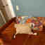 Customer photo 2 of 5
